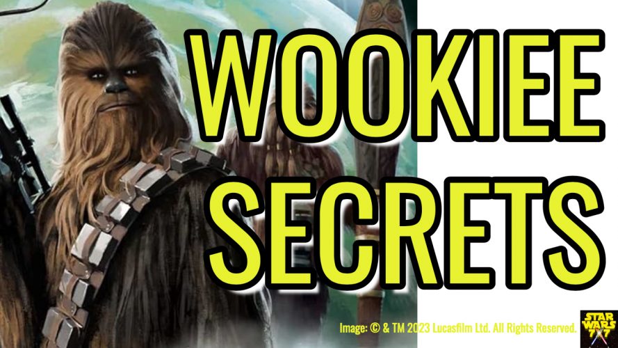 3424-star-wars-secrets-wookiees-review-yt